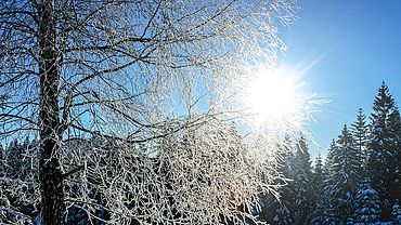 Зима не отступает: морозы до -32 градусов охладят Алтай ночью 18 февраля