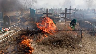 Городское кладбище загорелось в Рубцовске