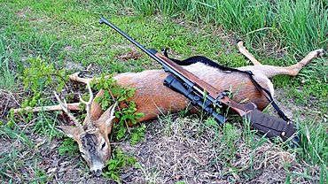 ����: amic.ru