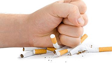  �������� �������� ������������ ���������� ������������ ������ �������� 