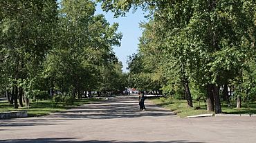 Бийчанам предложили создать проект по обустройству бульвара Вали Максимовой