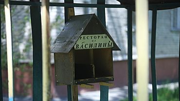 Стоп-кадр. Птичий ресторан в Барнауле