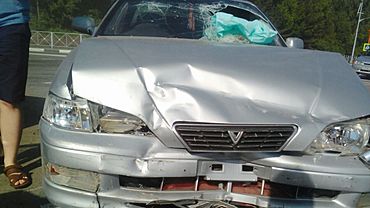 Пассажир автомобиля головой выбил лобовое стекло в ДТП под Бийском
