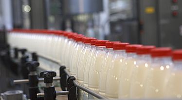 Рейтинг регионов по производству молока составили в Алтайском крае