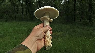 ����: amic.ru