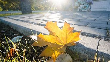 ����: amic.ru