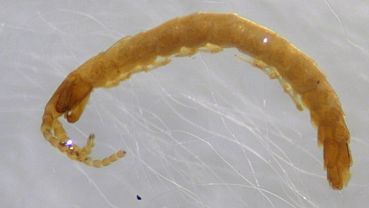  ���������� ��������� ���������� ���������� ��������� ����������� 