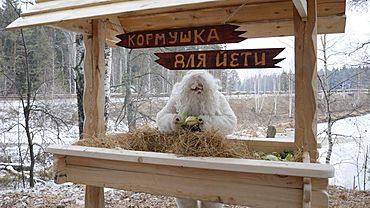 Кормушку для снежного человека построили в Челябинской области