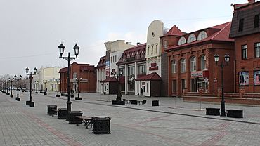 Новогодний городок обустроят в Барнауле на пешеходной улице Мало-Тобольской