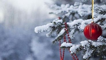 Новый год начнется для жителей Алтая со снега и мороза 