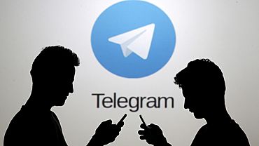  telegram llc    