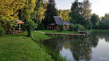 Дом с потолком ручной резки у родникового пруда продают на Алтае за 17 млн руб.