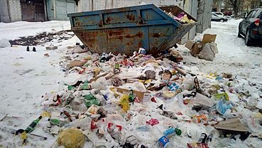 Плату за мусор снизили в ручном режиме в Алтайском крае