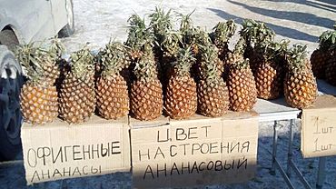 Стоп-кадр. Барнаул, февраль, цвет настроения ананасовый  