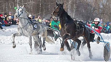 Традиционный конный зимний фестиваль 