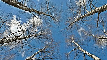 ����: amic.ru