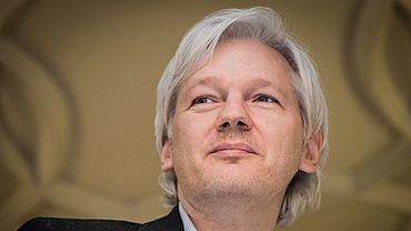   wikileaks     