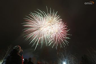  ��������� ����� ������ 2019 �������� 