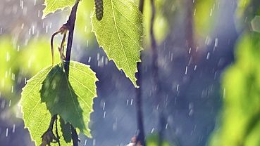 ����: amic.ru