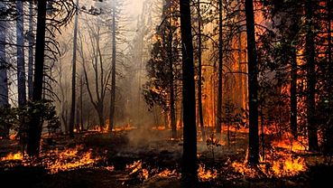  ������� ��������� �������� ������ ������ ����� 