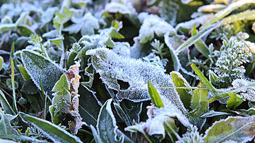 ����: amic.ru