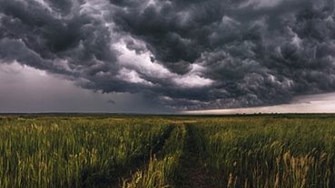 ����: amic.ru