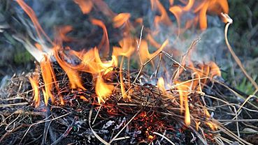  ����� ���������� ����� ����� ������������� ��������� ���� 