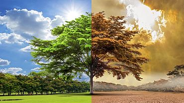 ����: amic.ru