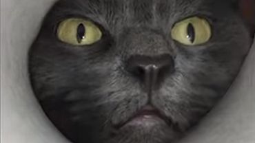  ���-������ ������ ������� ��������� 