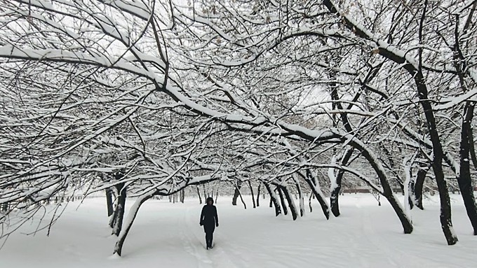 Местами 0. О погоде в Алтайском крае 12 декабря
