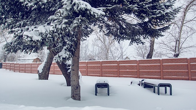 До -16 и небольшой снег. О погоде в Алтайском крае 15 декабря
