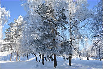 4 январь 2019 г., Барнаул   Новый год 2019