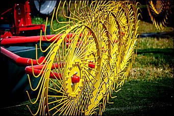15 июль 2016 г., Барнаул Зажигательные танцы, красивые девушки, тракторы и посевы: как прошел "Всероссийский день поля" в Алтайском крае?