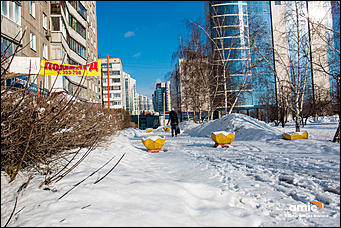 18 март 2016 г., Барнаул  © Амител Вячеслав Мельников   Весна и снег: Барнаул после снегопада   