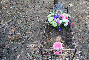 18 апрель 2016 г., Барнаул Барнаульское кладбище домашних животных