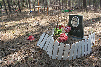 18 апрель 2016 г., Барнаул Барнаульское кладбище домашних животных