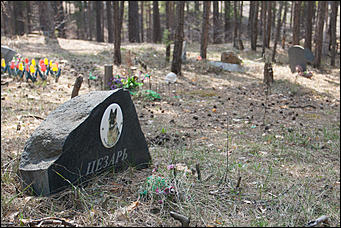 18 апрель 2016 г., Барнаул Барнаульское кладбище домашних животных