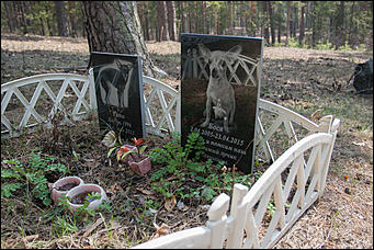 18 апрель 2016 г., Барнаул Барнаульское кладбище домашних животных