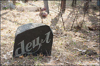 18 апрель 2016 г., Барнаул Барнаульское кладбище домашних животных