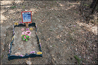 18 апрель 2016 г., Барнаул Барнаульское кладбище домашних животных