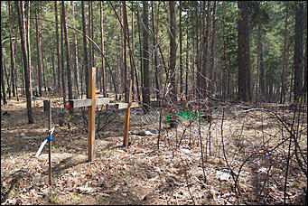 18 апрель 2016 г., Барнаул Барнаульское кладбище домашних животных