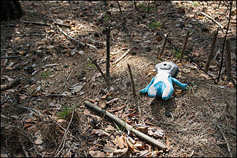 18 апрель 2016 г., Барнаул Барнаульское кладбище домашних животных