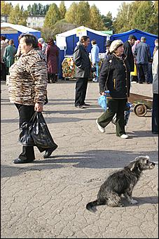 25 сентября 2010 г., Барнаул   Социальная продовольственная ярмарка в Барнауле