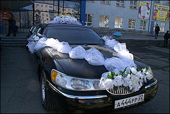 5 апреля 2009 г., Барнаул   Свадьба кошек