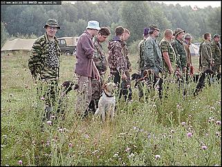    Состязания охотничьих собак