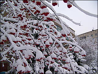 5 ноября 2009 г., Барнаул   В Барнаул пришла "зима"