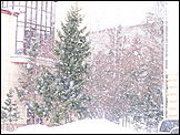 Барнаул засыпает снегом