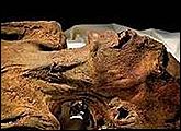 Лицо мумии молодого человека искажено предсмертными муками