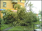 последствия урагана в Барнауле
