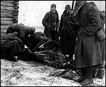 Советские военнопленные обдирают остатки мяса с трупа павшей лошади 